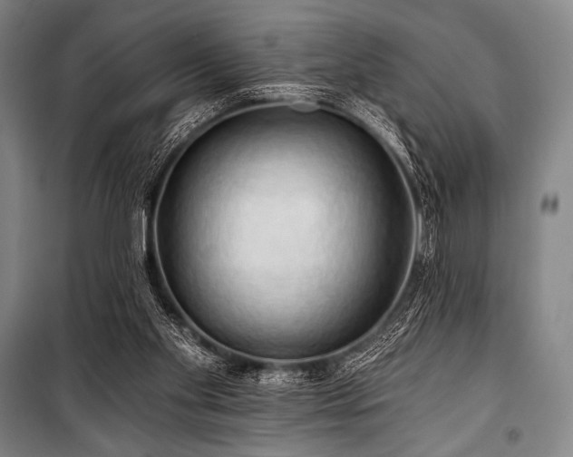 X0000101160109200806271019