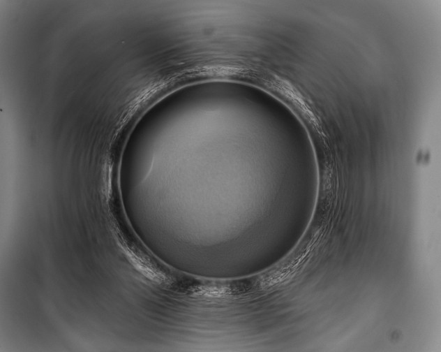 X0000101160110200806271019