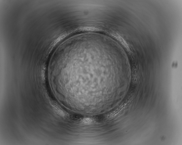 X0000101160111200806271019