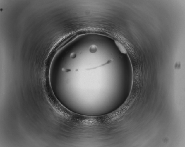 X0000101160112200806271019