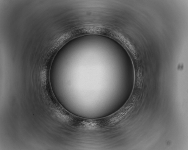 X0000101160113200806271019