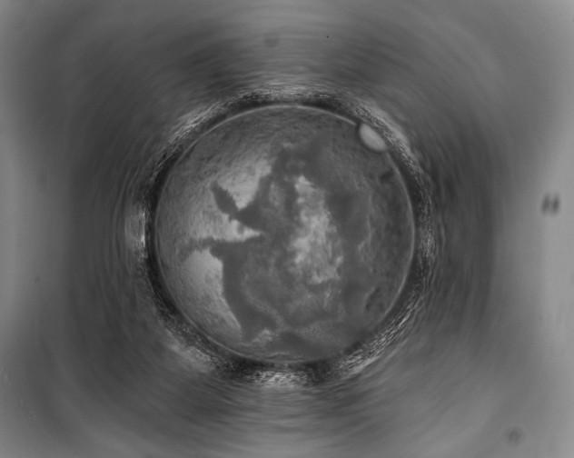 X0000101160115200806271019