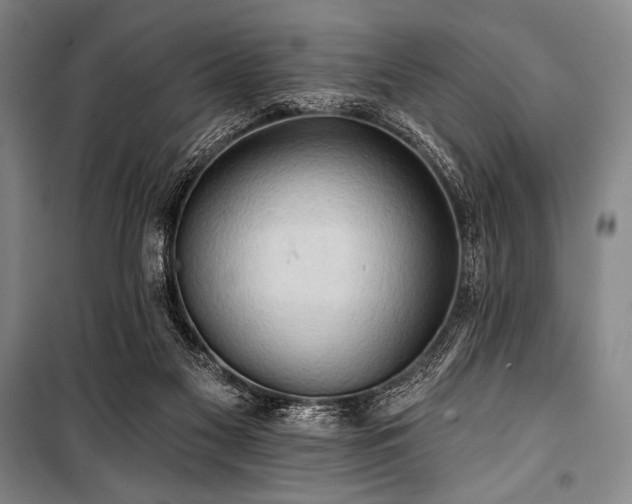 X0000101160117200806271019