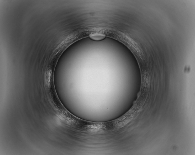 X0000101160118200806271019