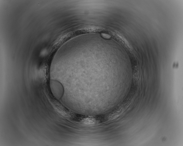 X0000101160119200806271019