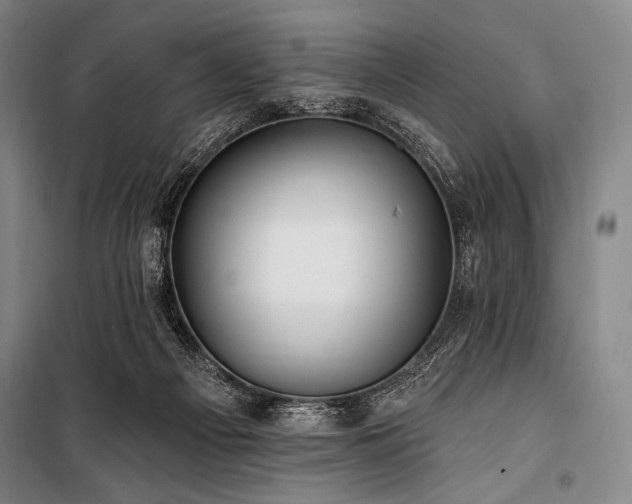 X0000101160121200806271019