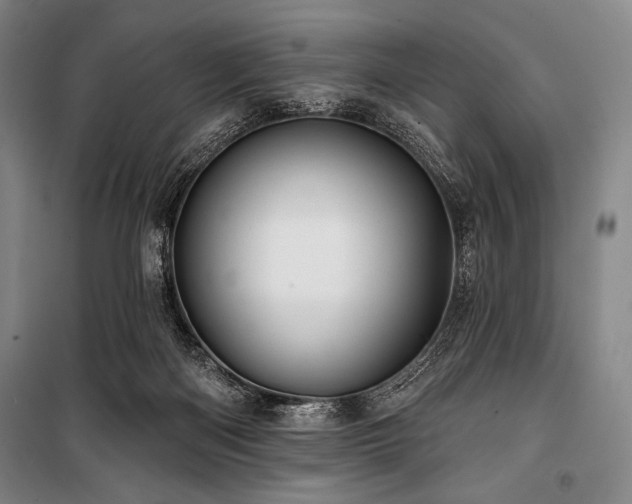 X0000101160122200806271019
