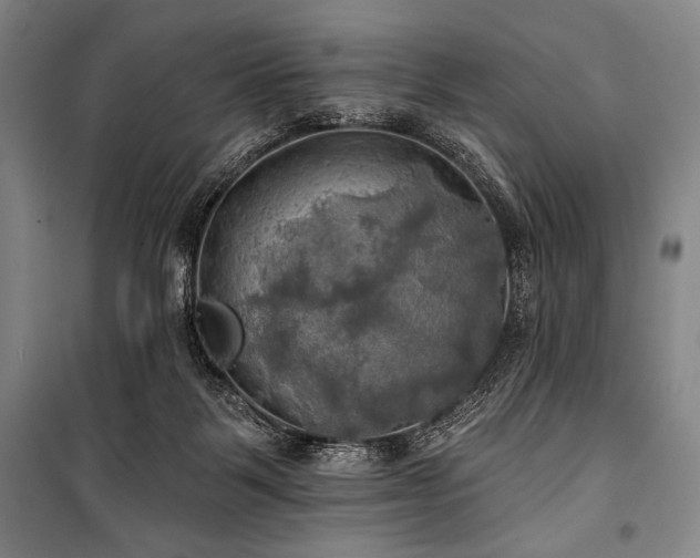 X0000101160123200806271019