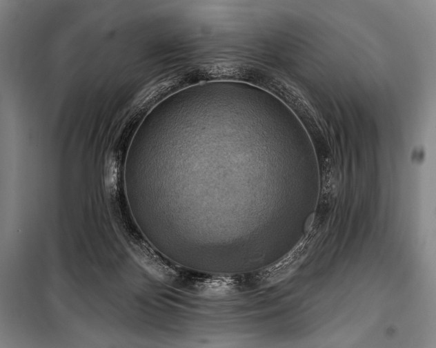 X0000101160124200806271019