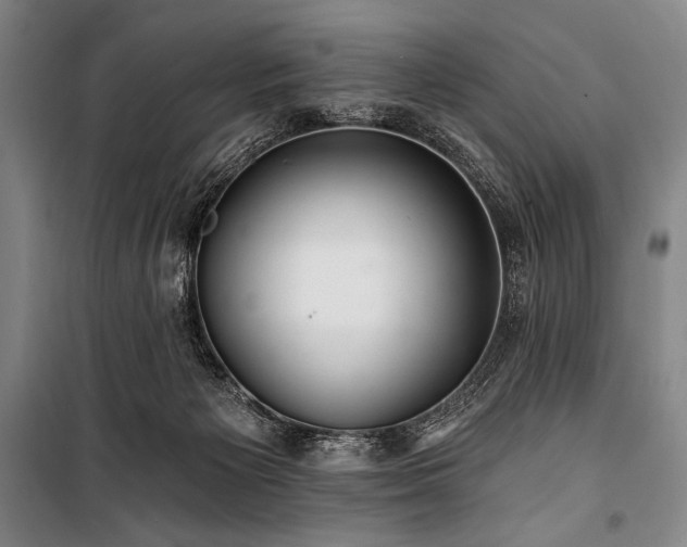X0000101160125200806271019