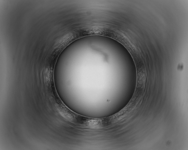 X0000101160126200806271019