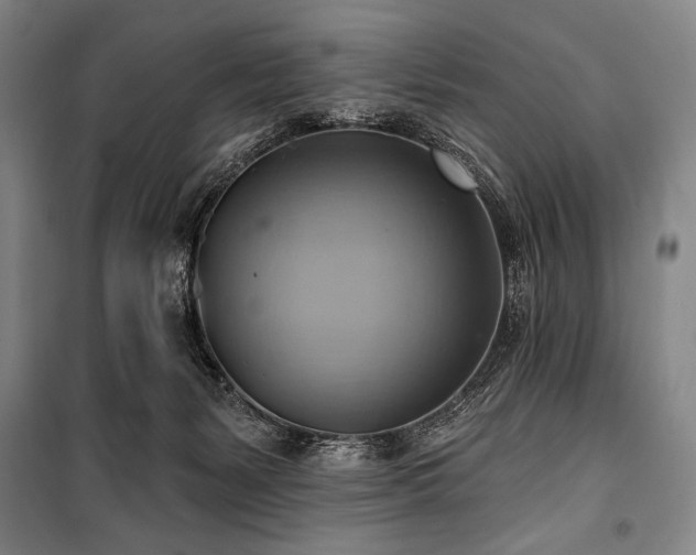 X0000101160127200806271019