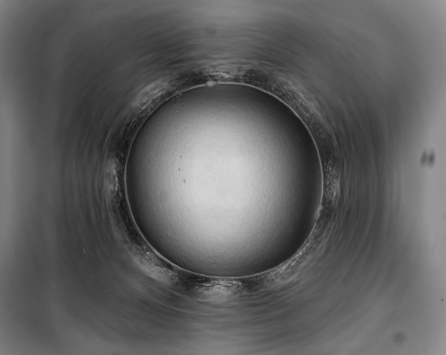 X0000101160128200806271018