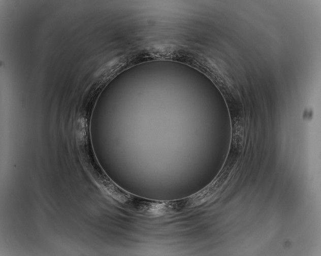 X0000101160130200806271018