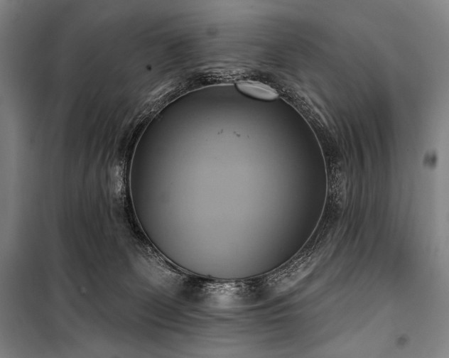 X0000101160131200806271018