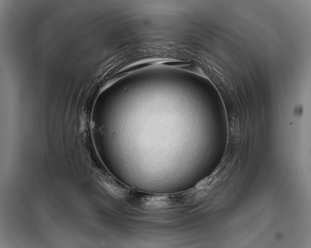 X0000101160132200806271018