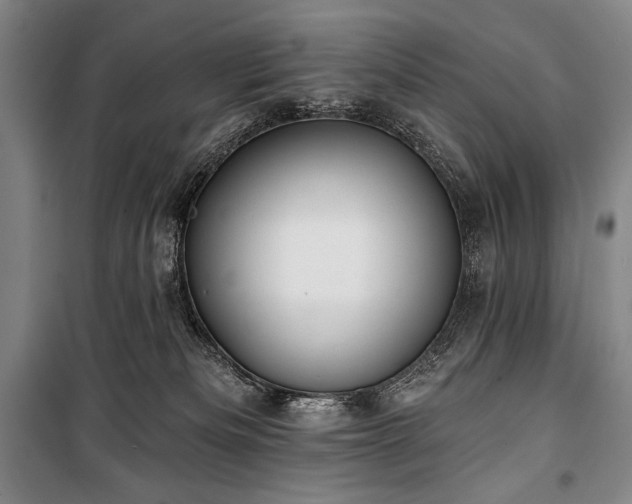X0000101160133200806271018