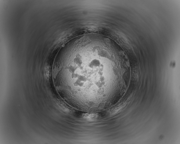 X0000101160135200806271018