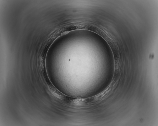 X0000101160136200806271018