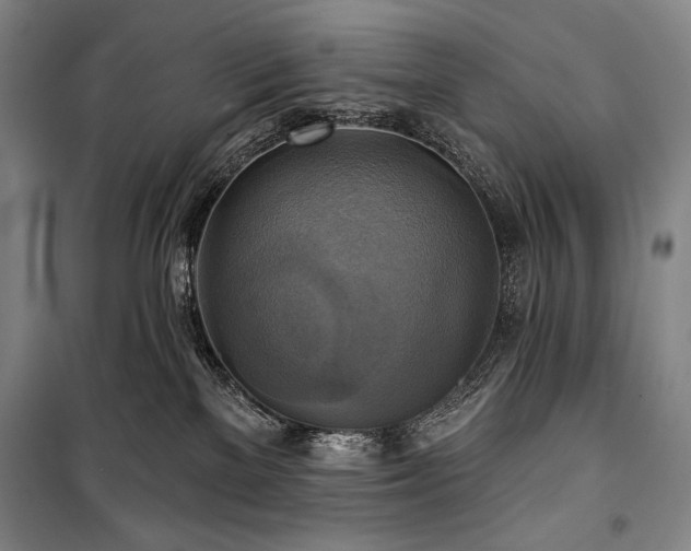 X0000101160137200806271018