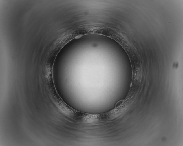 X0000101160138200806271018