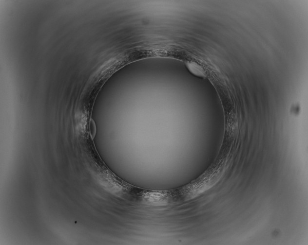 X0000101160139200806271018