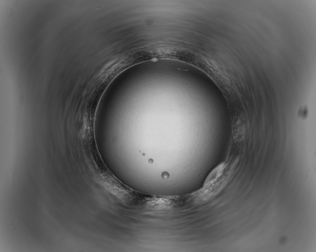 X0000101160140200806271018