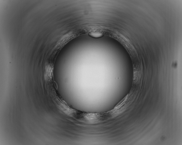 X0000101160142200806271018