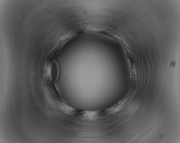 X0000101160143200806271018
