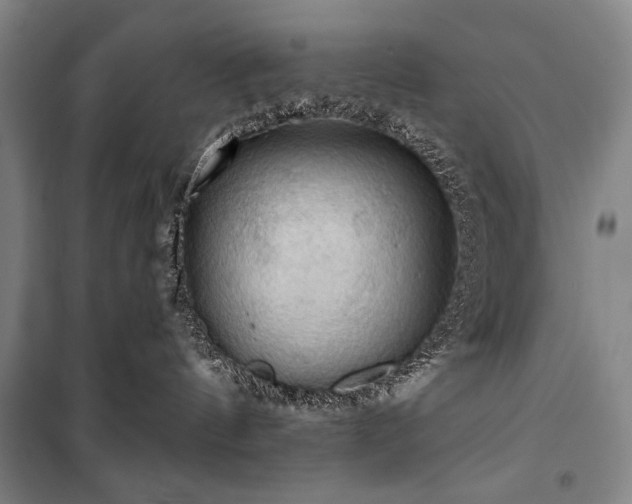 X0000101160144200806271018