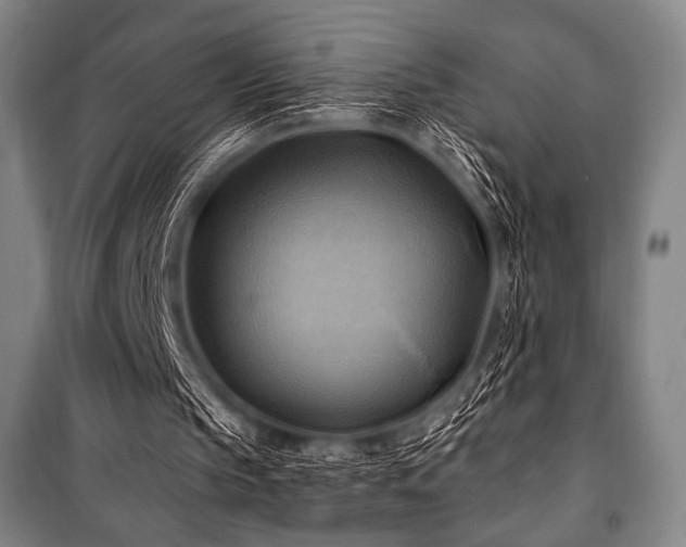 X0000101160145200806271018