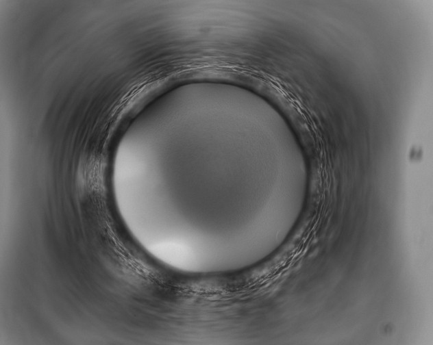 X0000101160146200806271018