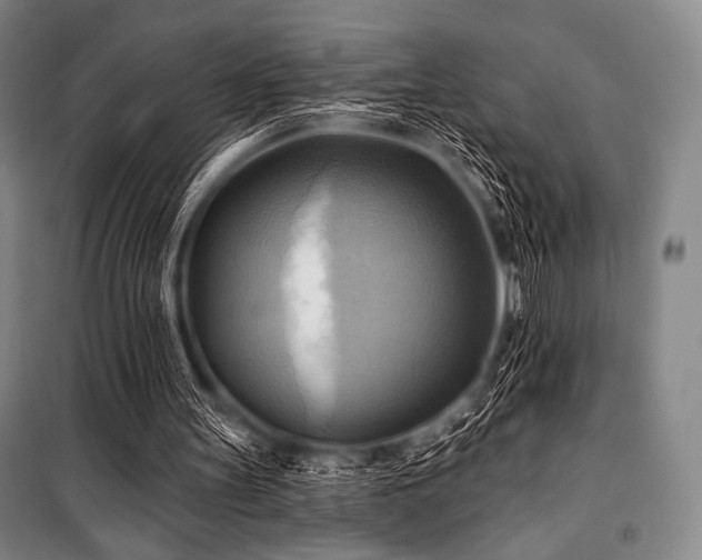 X0000101160147200806271018