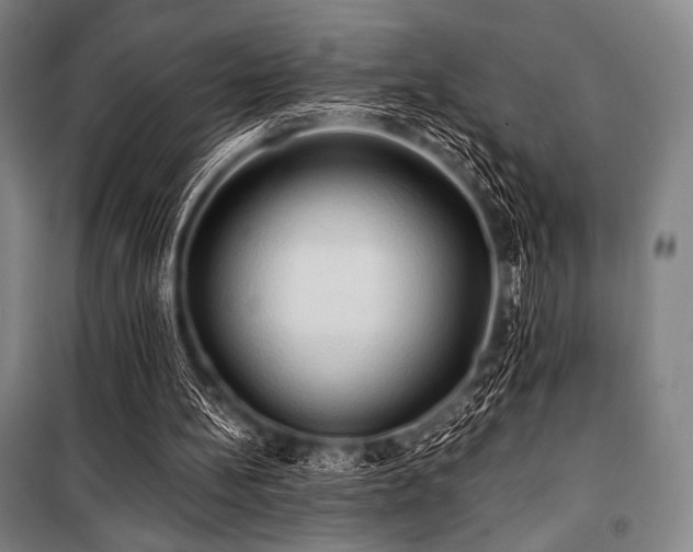 X0000101160148200806271018