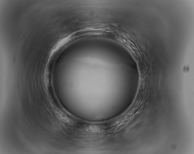 X0000101160149200806271018