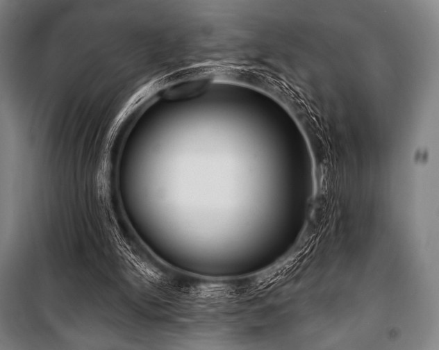 X0000101160150200806271018