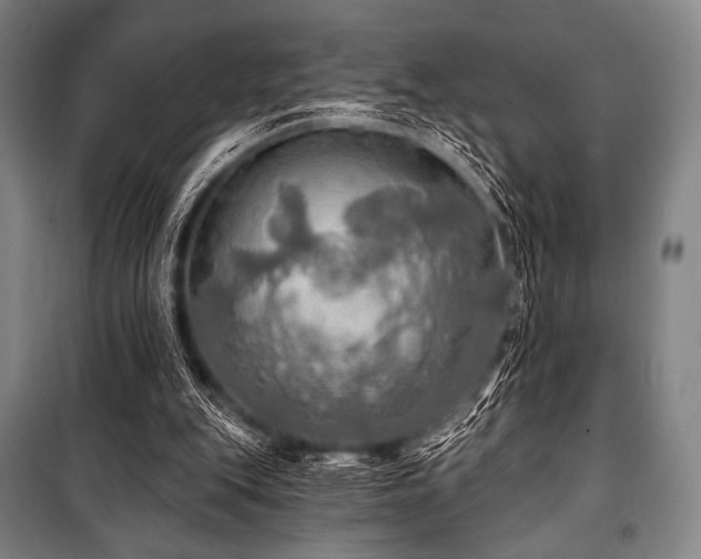 X0000101160151200806271018