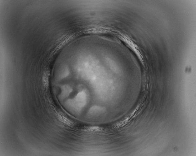 X0000101160153200806271018