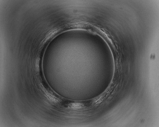 X0000101160154200806271018