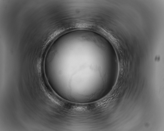 X0000101160155200806271018