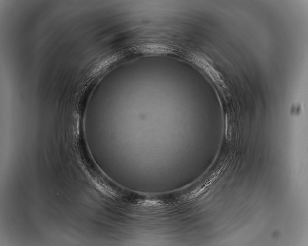X0000101160157200806271018