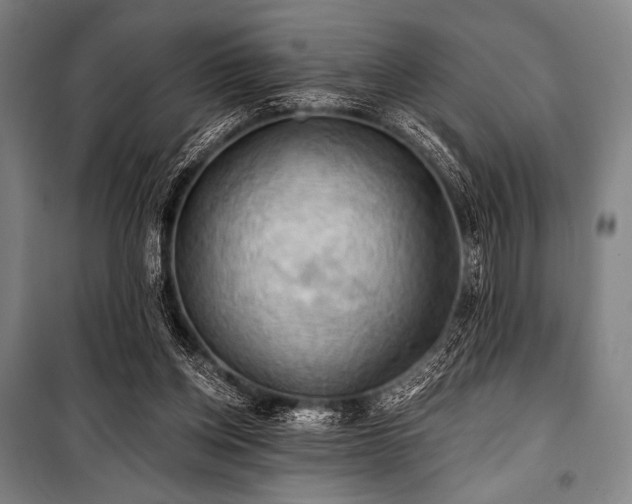 X0000101160158200806271018