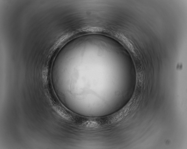 X0000101160159200806271018