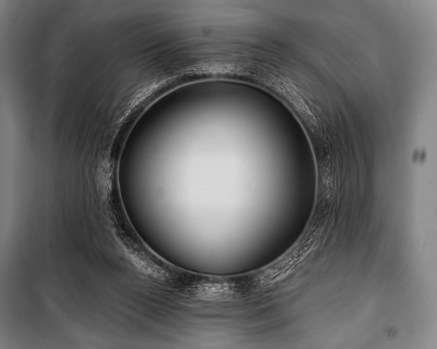 X0000101160160200806271018
