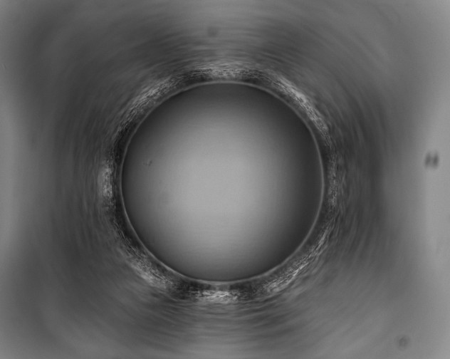 X0000101160161200806271018