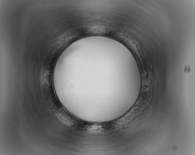 X0000101160162200806271018