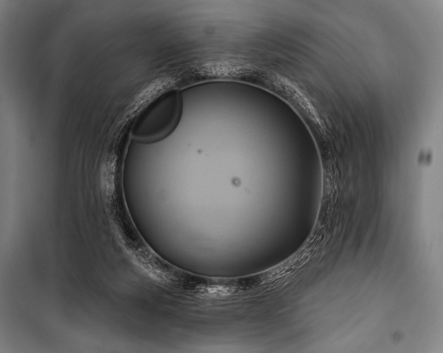 X0000101160163200806271018