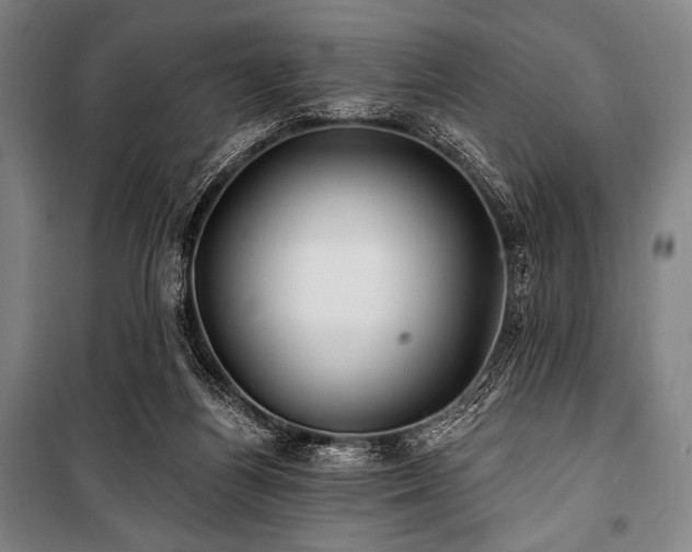X0000101160164200806271018
