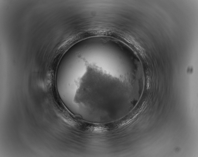 X0000101160165200806271018