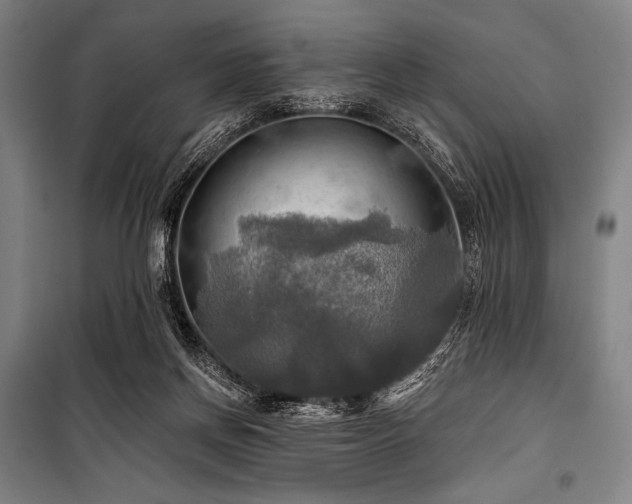 X0000101160166200806271018